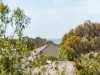 14 Echidna Grove, Cowes, Vic 3922-Image
