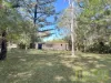 14 Endeavour Road, Arcadia, Qld 4819-Image