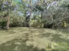 14 Endeavour Road, Arcadia, Qld 4819-Image
