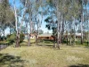 14 Eyre Court, Kialla, Vic 3631-Image
