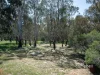 14 Eyre Court, Kialla, Vic 3631-Image