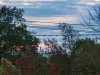 14 Farquharson Street, Mount Waverley, Vic 3149-Image