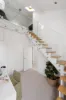 14 Fitzgerald Street, Queens Park, NSW 2022-Image