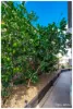 14 Foreman Street, West Rockhampton, Qld 4700-Image