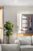 14 Fourth Road, Belair, SA 5052-Image
