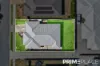 14 FOXTAIL ROAD, Ripley, Qld 4306-Image