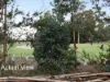 14 Golf Road, Oakleigh South, Vic 3167-Image
