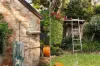 14 Gordon Street, Petersham, NSW 2049-Image