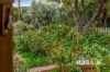 14 Grandview Avenue, Maslin Beach, SA 5170-Image