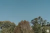14 Greenview Avenue, Beerwah, Qld 4519-Image