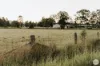 14 Greenview Avenue, Beerwah, Qld 4519-Image