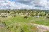 14 Harrow Street, Lyndhurst, NSW 2350-Image