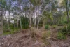 14 Heysen Close, Doolandella, Qld 4077-Image