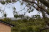 14 Highfield Avenue, Warranwood, Vic 3134-Image