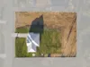14 Howell Circuit, Adare, Qld 4343-Image