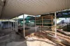 14 Hunter Crescent, Port Augusta, SA 5700-Image