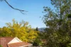 14 Ifould Place, Theodore, ACT 2905-Image