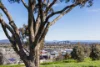 14 Jackomos Street, Bonner, ACT 2914-Image