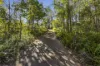 14 Judds Road, Glass House Mountains, Qld 4518-Image