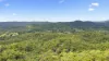 14 King Parrot Court, Clagiraba, Qld 4211-Image
