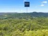 14 King Parrot Court, Clagiraba, Qld 4211-Image
