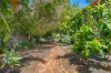 14 King Street, Urangan, Qld 4655-Image