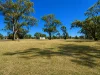 14 Kurtz Street, Chinchilla, Qld 4413-Image