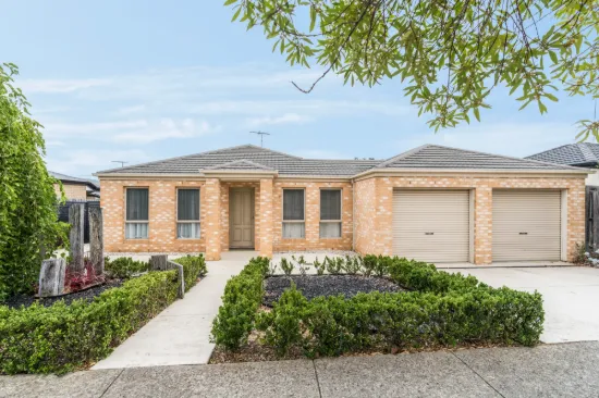 14 Lein Court, Highton, Vic 3216