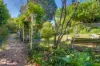 14 Lett Street, Katoomba, NSW 2780-Image