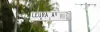 14 Leura Avenue, Hawthorne, Qld 4171-Image