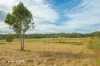 14 Lillypilly Place, The Palms, Qld 4570-Image