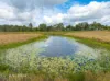 14 Lillypilly Place, The Palms, Qld 4570-Image
