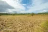 14 Lillypilly Place, The Palms, Qld 4570-Image
