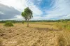 14 Lillypilly Place, The Palms, Qld 4570-Image