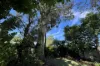 14 Lyndhurst Court, Newtown, Qld 4350-Image