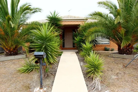 14 Macfarlane Street, Marshall VIC 3216 - For Rent