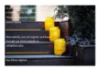 14 Macfarlane Street, Marshall VIC 3216-Image