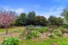14 Margaret Street, Jamestown, SA 5491-Image