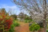 14 Margaret Street, Jamestown, SA 5491-Image