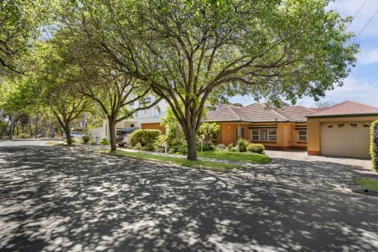 14 Matt Street, Lockleys, SA 5032