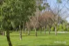 14 McMahons Road, Glenlyon, Vic 3461-Image