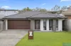 14 Meander Circuit, Holmview, Qld 4207