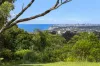 14 Mills Place, Beacon Hill, NSW 2100-Image