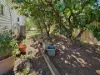 14 Miro Street, Young, NSW 2594-Image