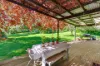 14 Mittagong Road, Bowral, NSW 2576-Image