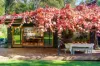 14 Mittagong Road, Bowral, NSW 2576-Image