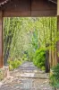 14 Mountain Crescent, Montrose, Vic 3765-Image