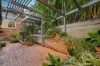 14 Nankoor Street, Chapel Hill, Qld 4069-Image