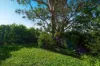 14 Narraport Crescent, Beenleigh QLD 4207-Image