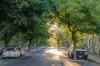 14 Olive Street, Prospect, SA 5082-Image